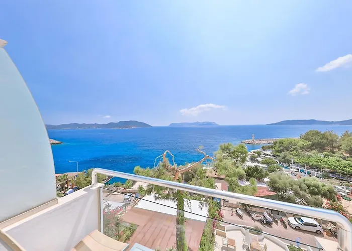 Gardenia (adults Only)