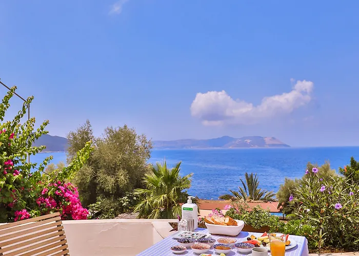 Hotel Gardenia (adults Only) 3*