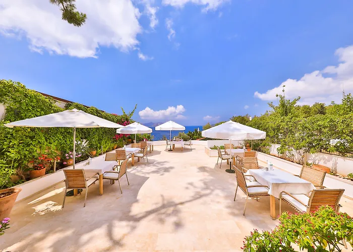 Gardenia (adults Only) 3*