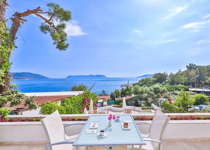 Hotel Gardenia (adults Only)