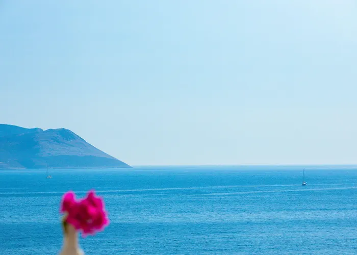 Gardenia (adults Only) Hotel Kas