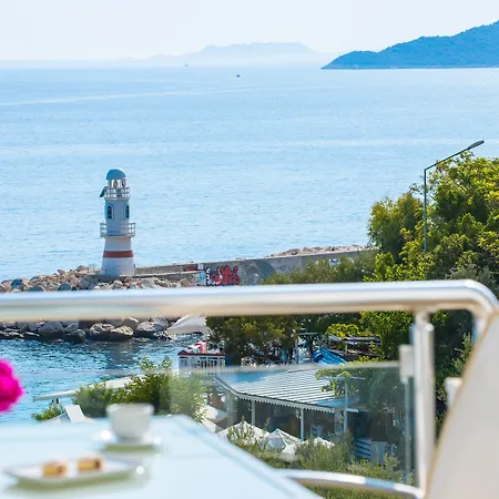 Hotel Gardenia (adults Only)