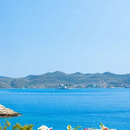 Gardenia (adults Only) 3*