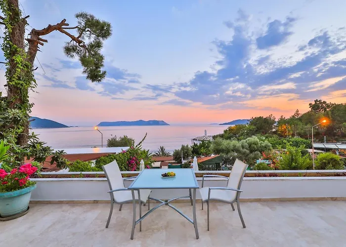 Gardenia (adults Only) 카스