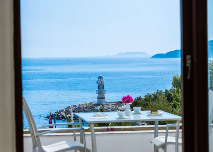 Gardenia (adults Only) Каш