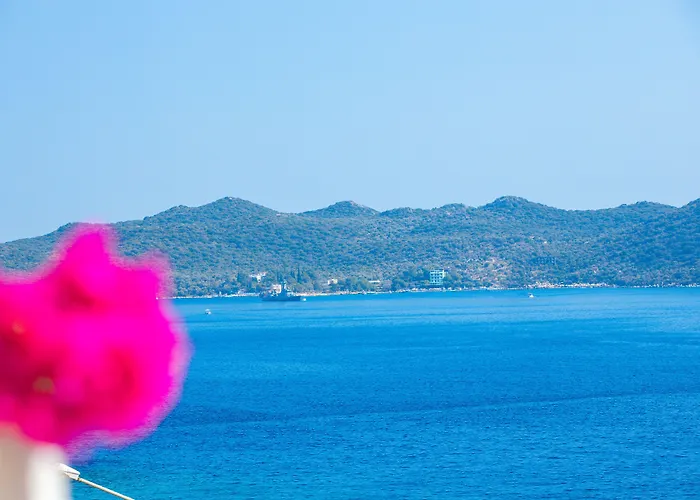 Gardenia (adults Only) 3*