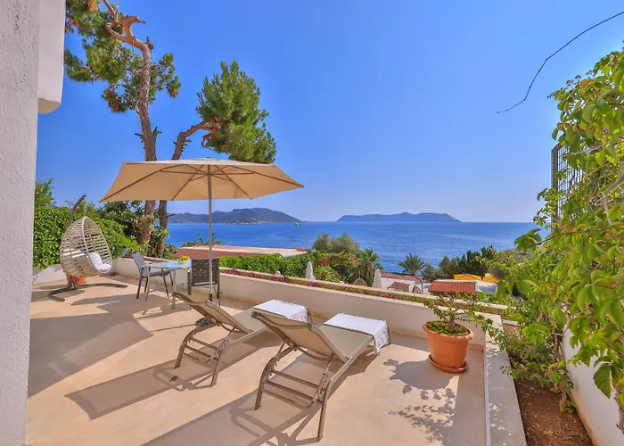 Gardenia (adults Only)