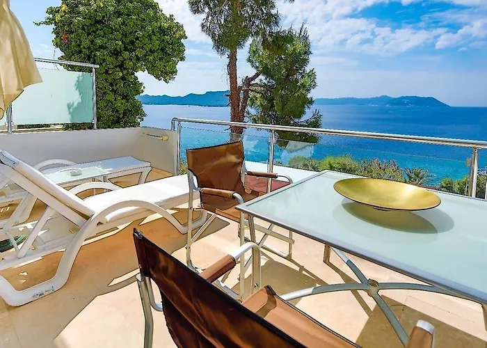 Gardenia (adults Only) カシュ