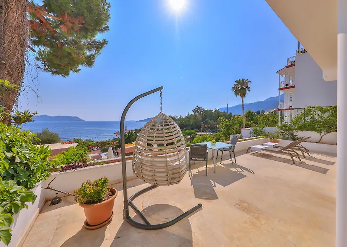 Gardenia (adults Only) カシュ