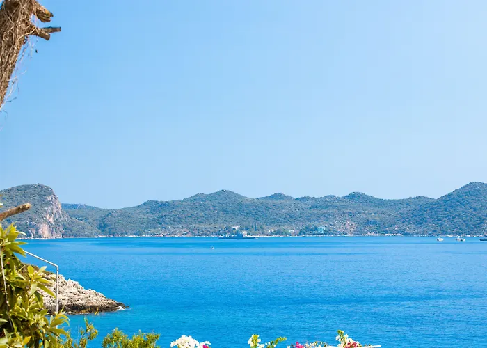 Gardenia (adults Only) 3*